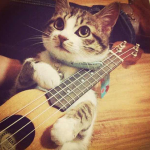 欧美牝户小一起操
